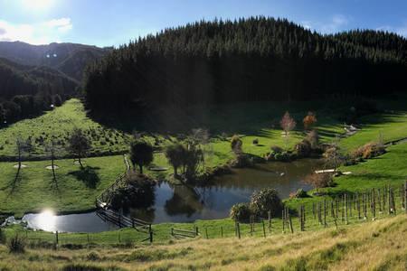 Castello Di Vino Apartament Blenheim Zewnętrze zdjęcie